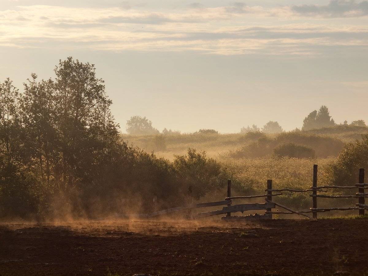 , Владимир Перепечаев