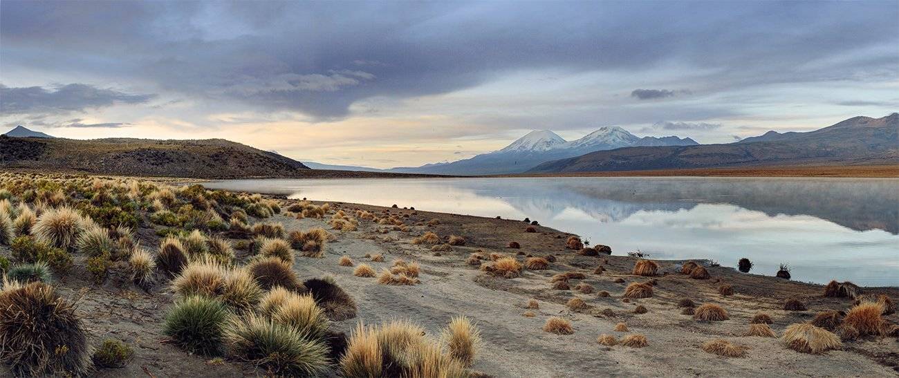 , Анна Пшишылны