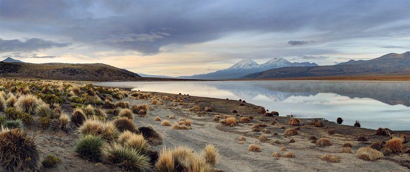 twins фото превью