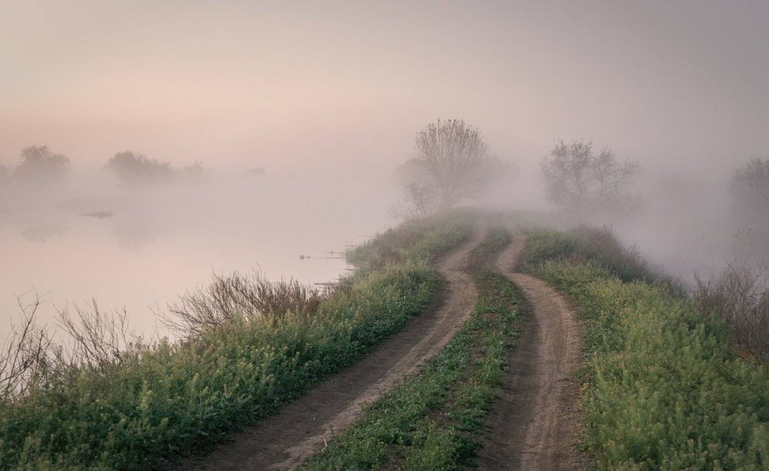 , Пеккер Сергей