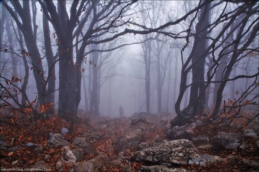 , Антон Петрусь