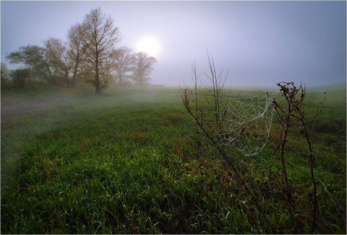 , Кутыгин Эдуард