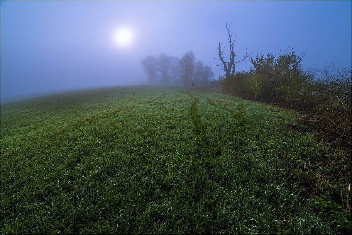 , Кутыгин Эдуард