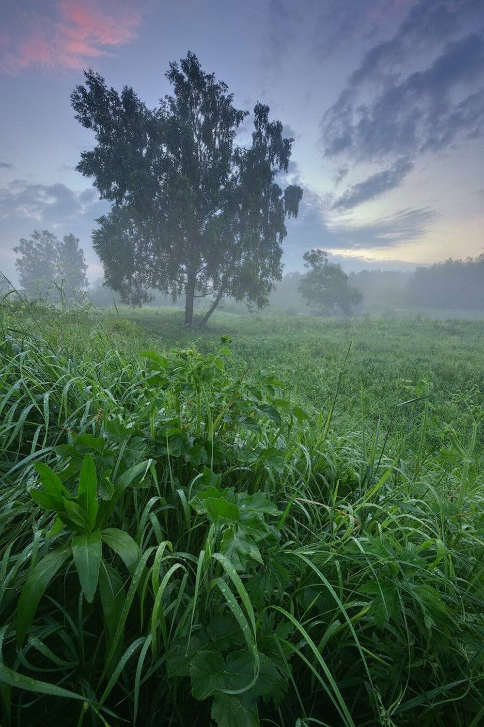 , Денис Сорокин