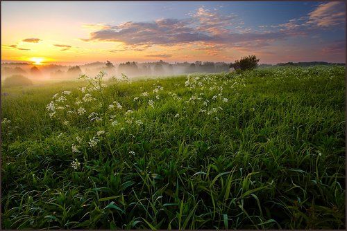 Раннее утро раннего июня...