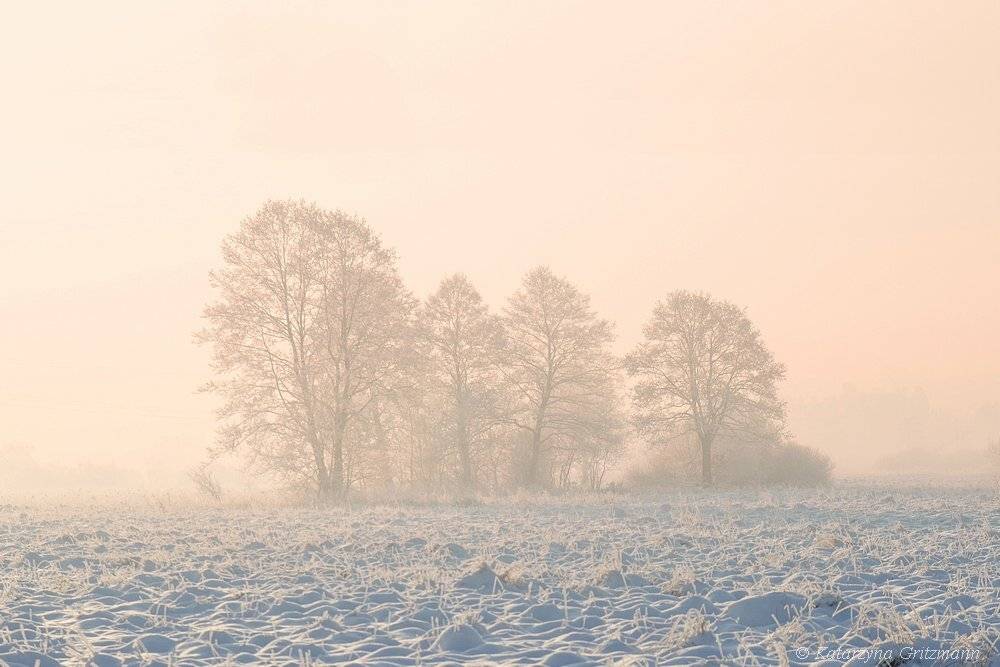 , Katarzyna Gritzmann