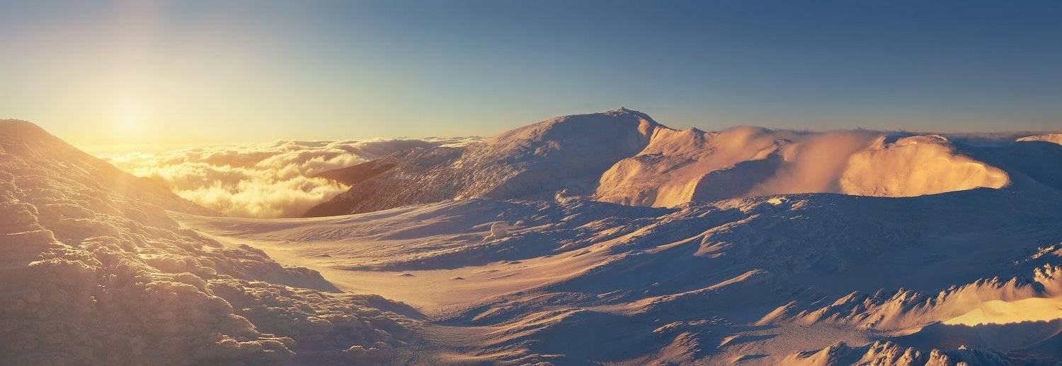 , Денис Кривой