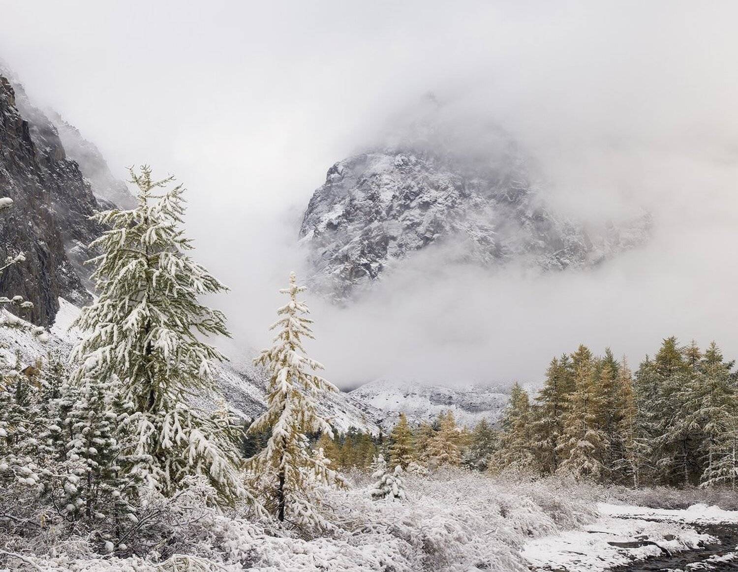 , Лещёнок Александр
