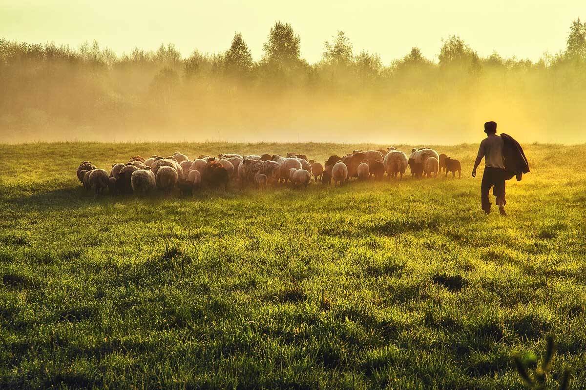 , Rimantas Bikulcius