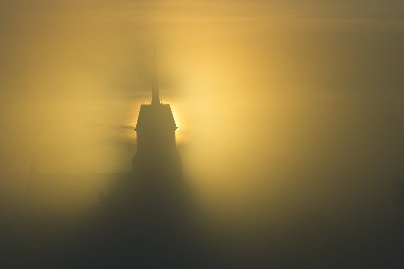 Manifestation фото превью