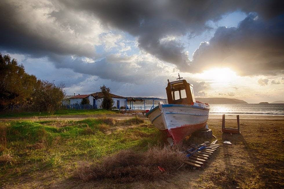 , Людмила Прокофьева