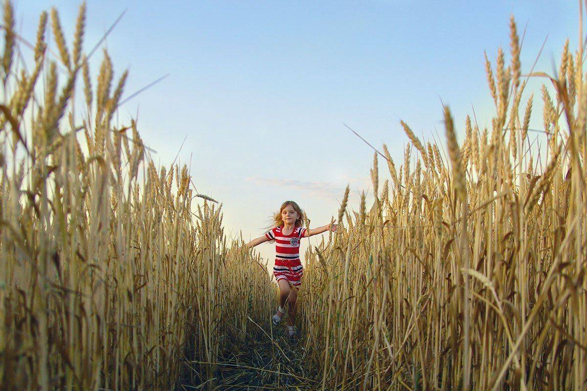 , Сидоренко Алексей