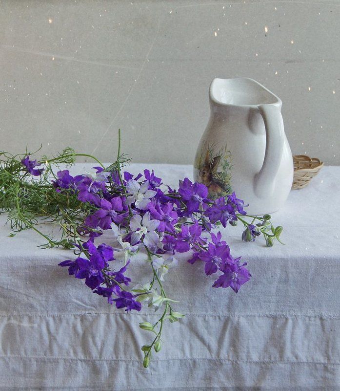 Дельфиниумы фото превью