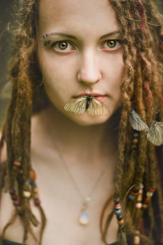 Бабочки фото превью