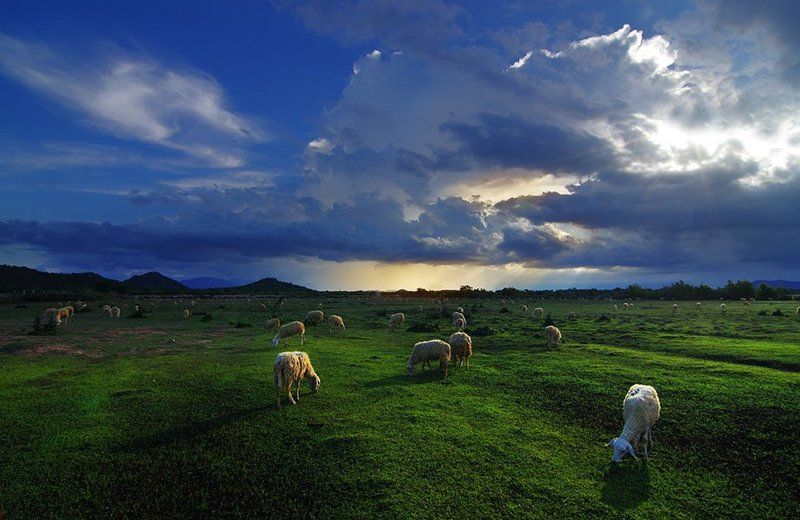 Landscape in Ninh Thuan фото превью