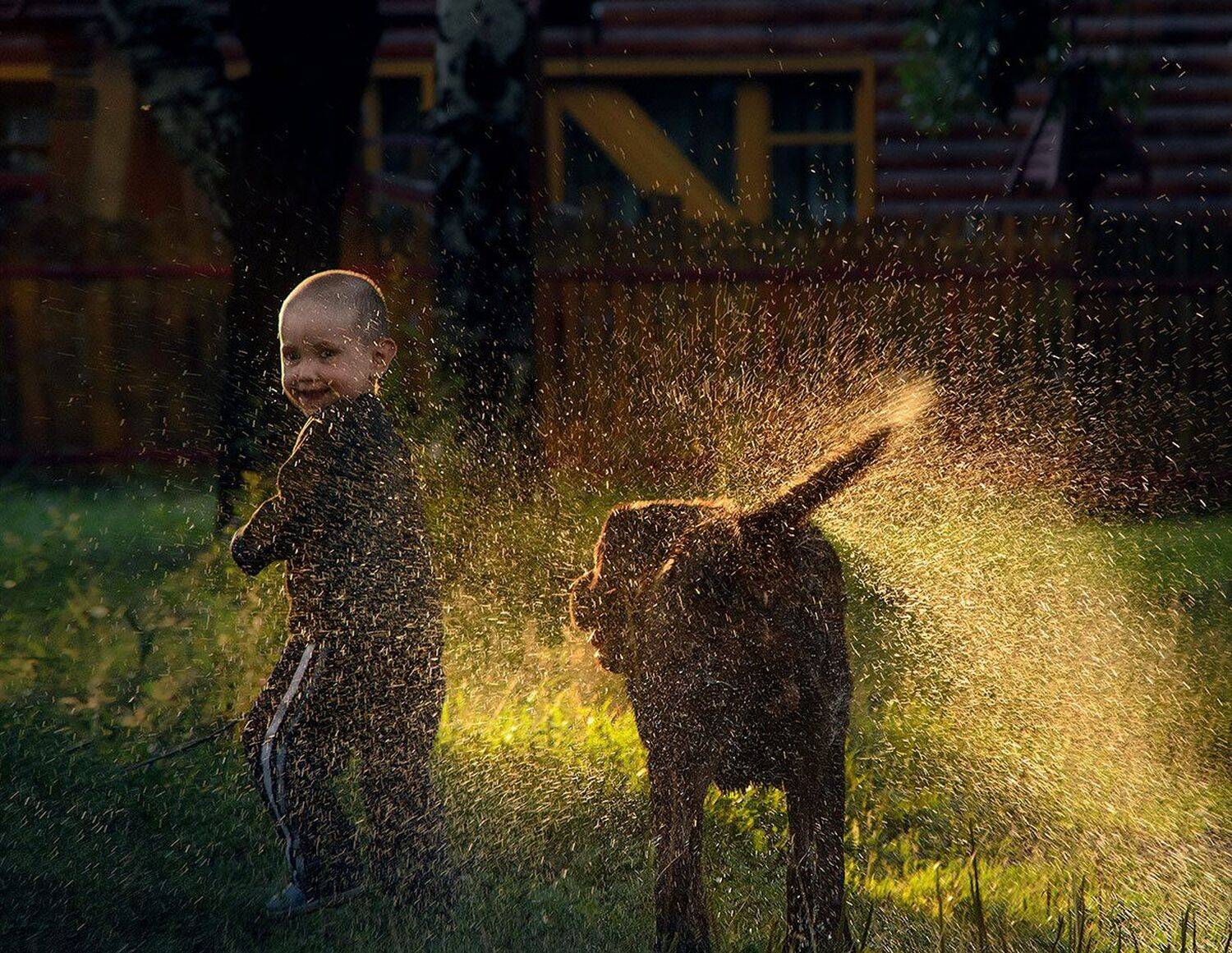 мальчик, брызги, собака отряхивается, Сергей Хромов