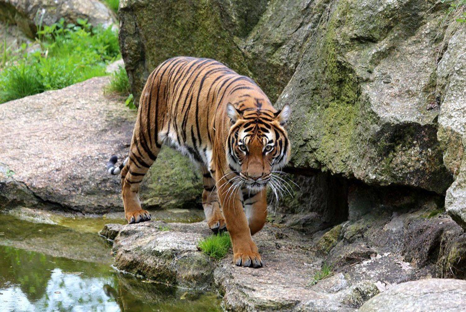 , Солодухин Виктор