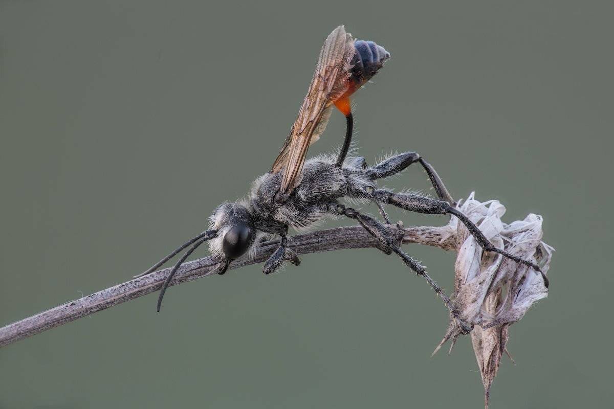 , Вадим Ходаковский