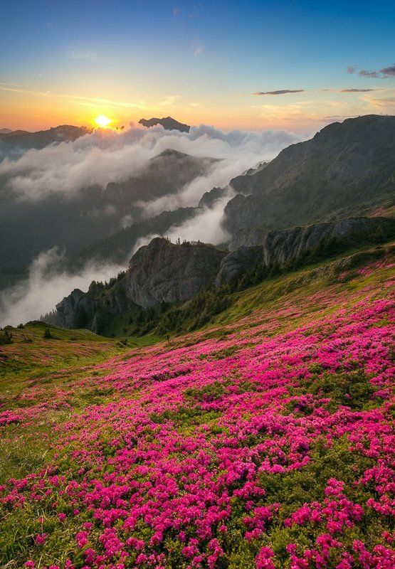 nature rainbow фото превью