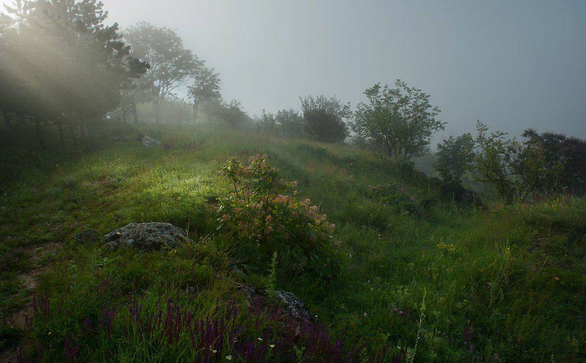 , Валерий Смирнов