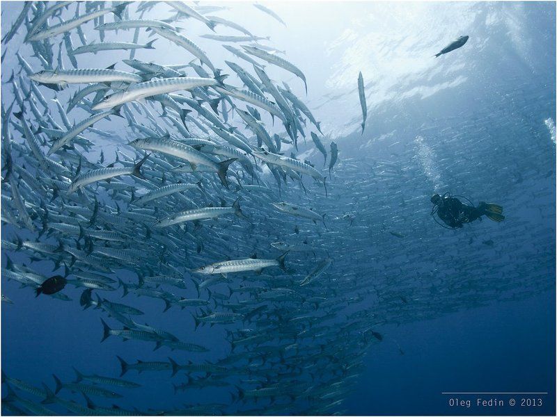 Хороводы хороводим фото превью