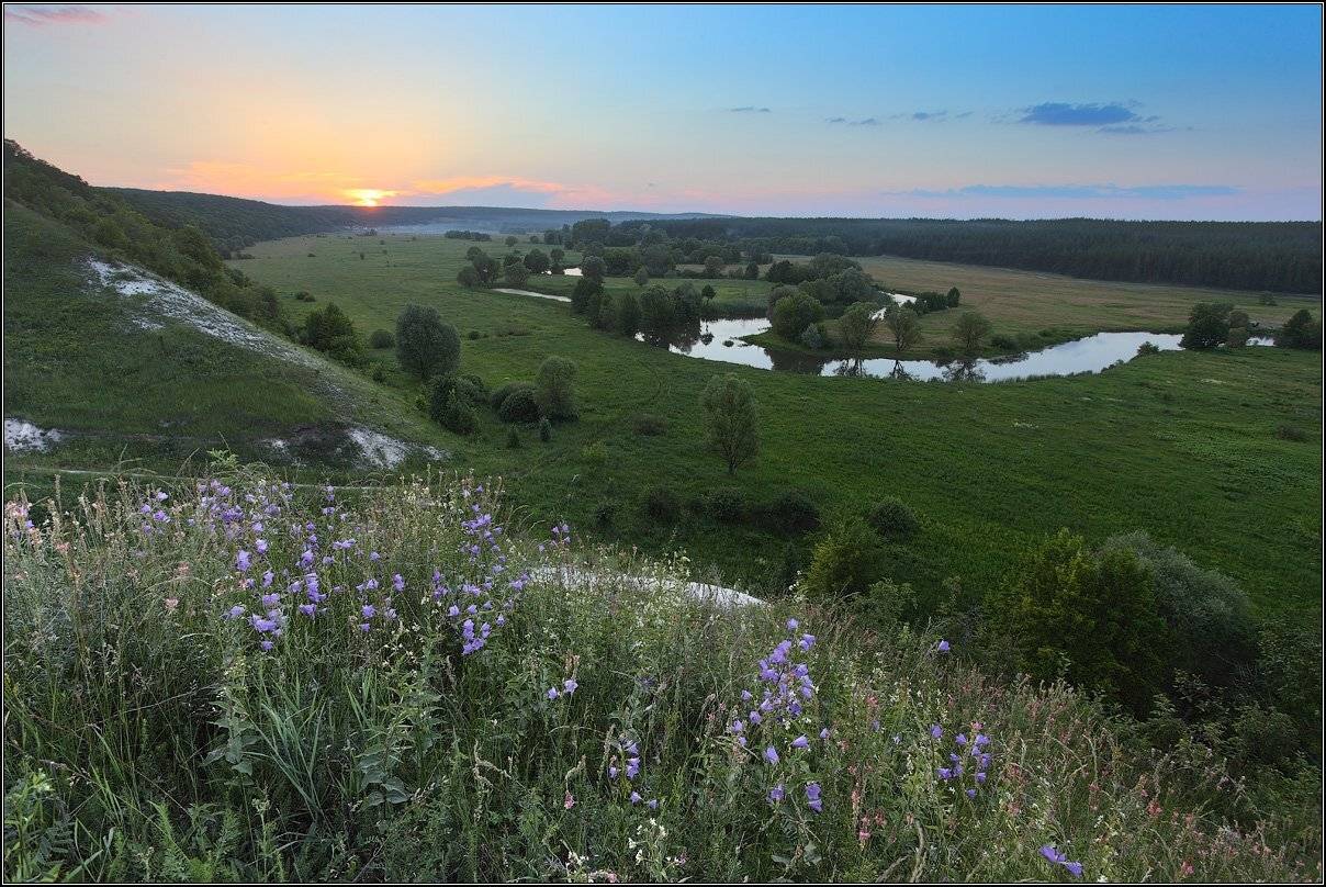 , Михаил (mgk)