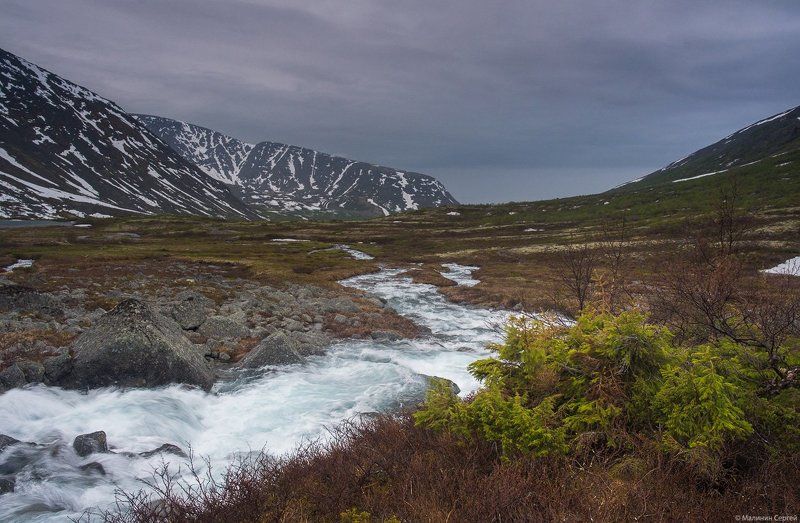 Тревожное чувство надвигающейся бури фото превью