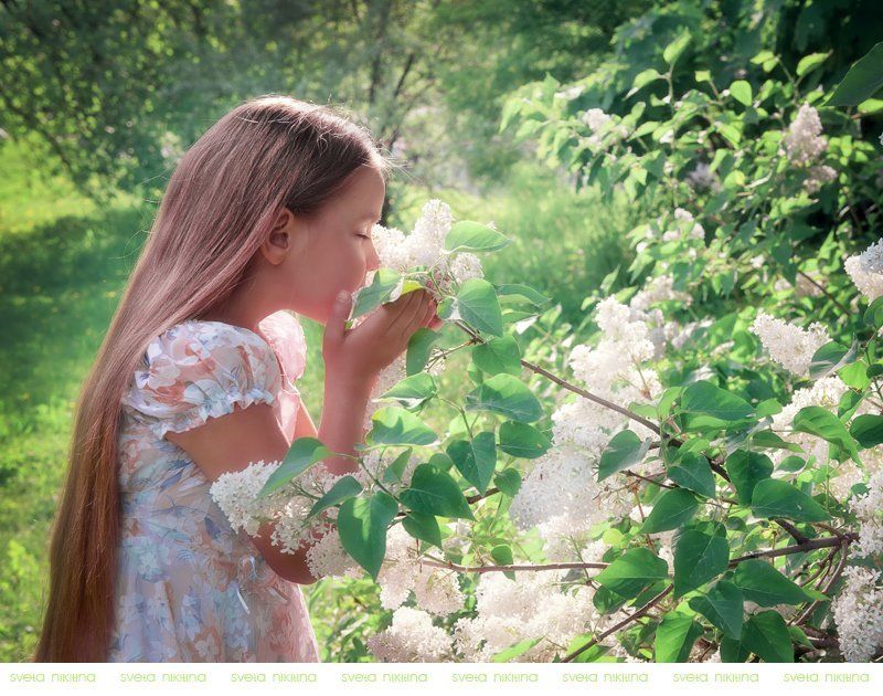 Summer фото превью