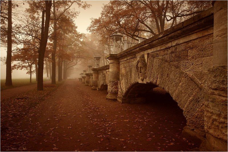 туман, парк, пруд, царское село, прогулка, турист, аллеи, осень, листва Туман в Царском Селе фото превью