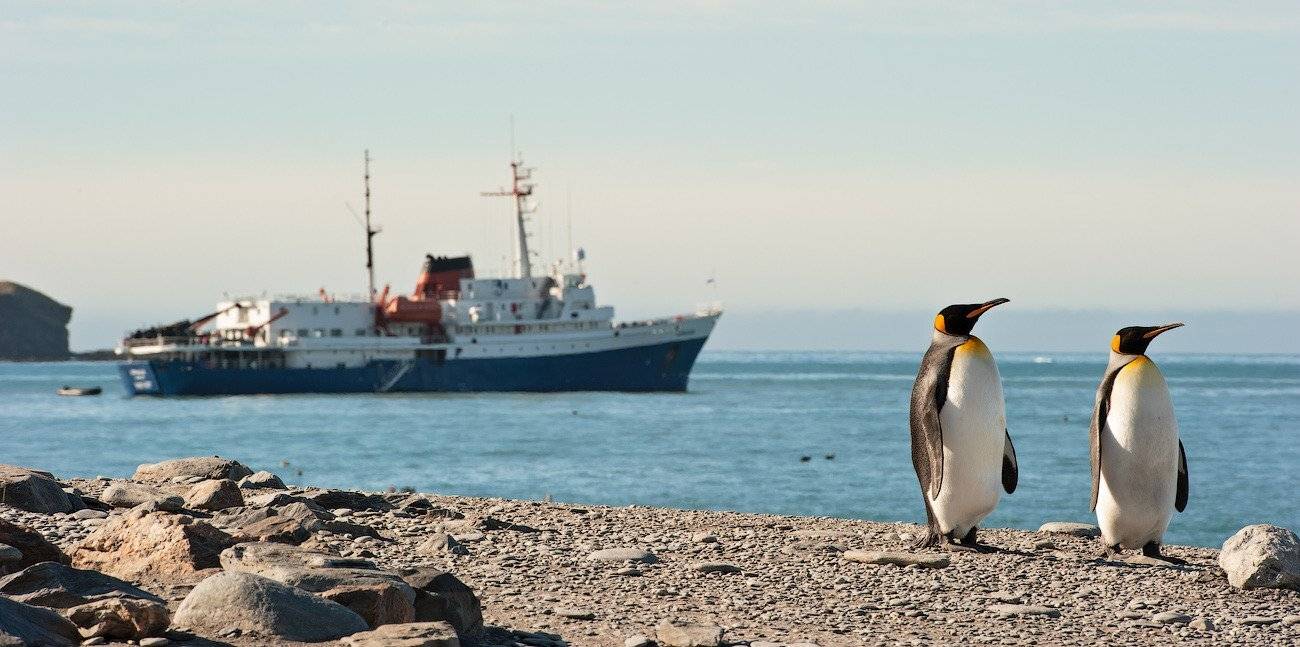 , Андрей Ведерников