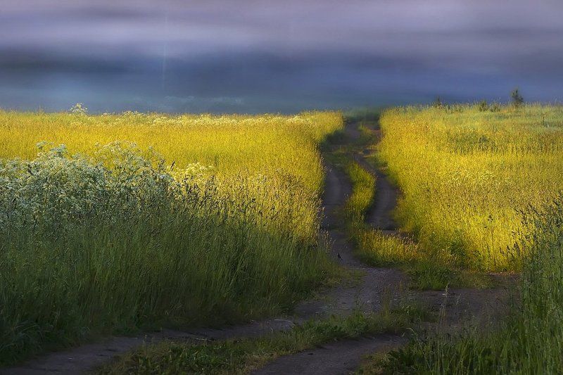 Oкраина фото превью
