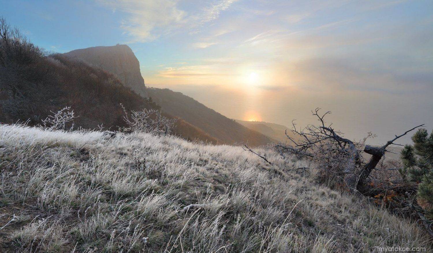 , Михаил Псарёв