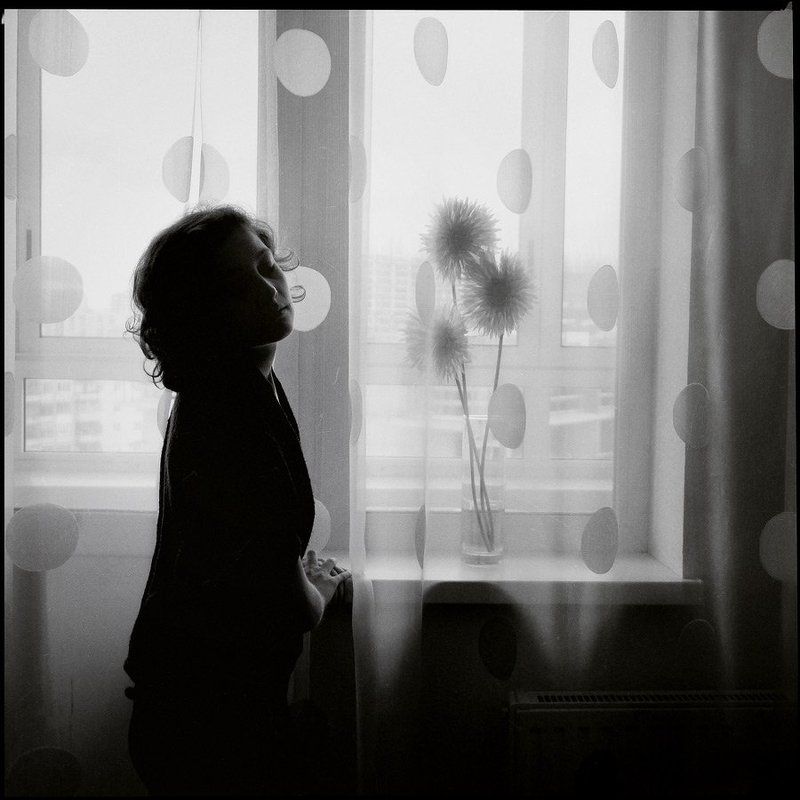 Три герберы фото превью