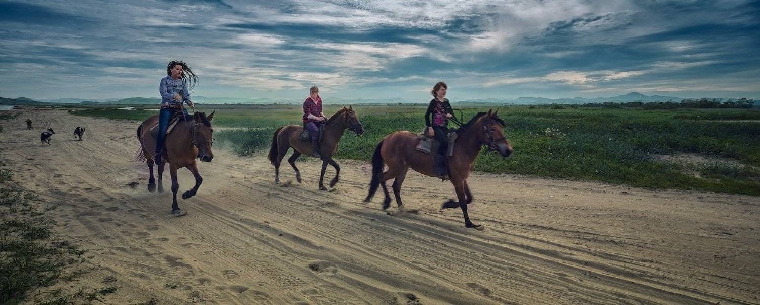 , Андрей Кровлин