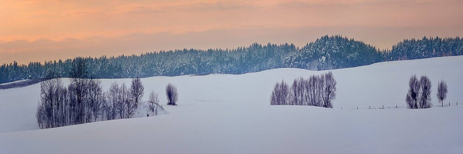 , wojtek6308