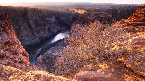 Оптимистическая светлая закатная картинка о том, как все козелики попрыгали в пропасть...