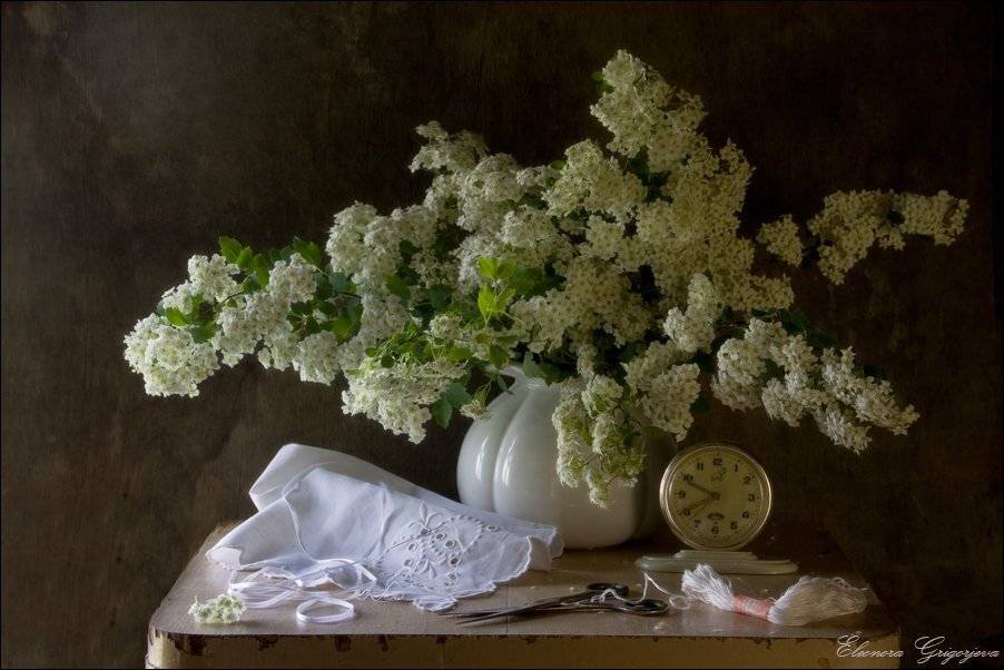 , Eleonora Grigorjeva