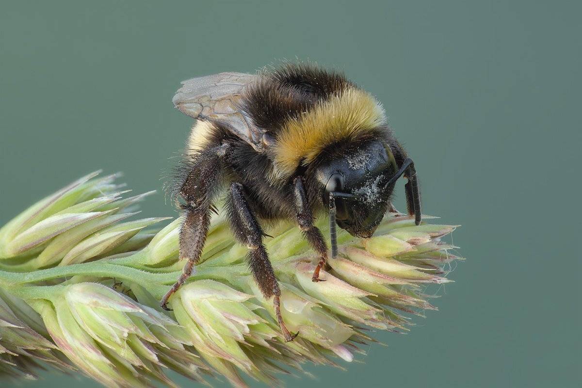 , Вадим Ходаковский