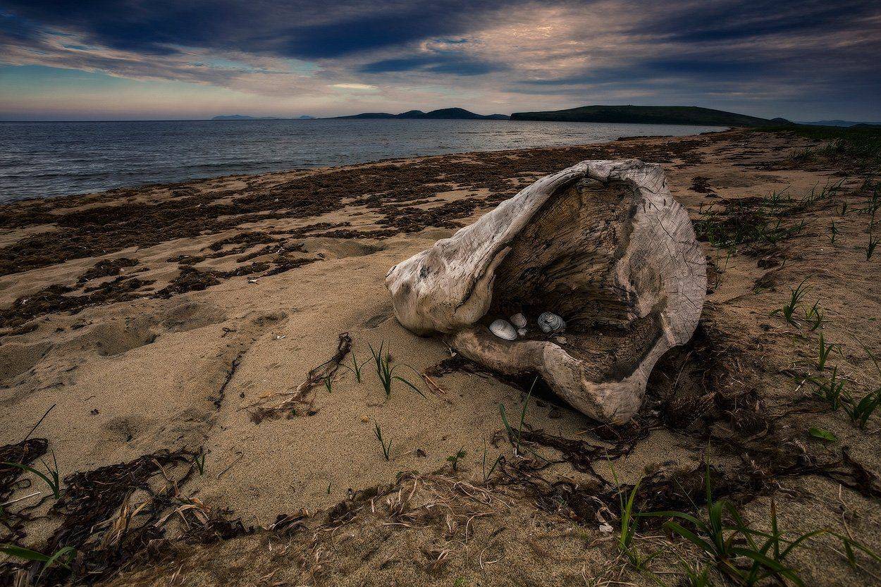 , Андрей Кровлин