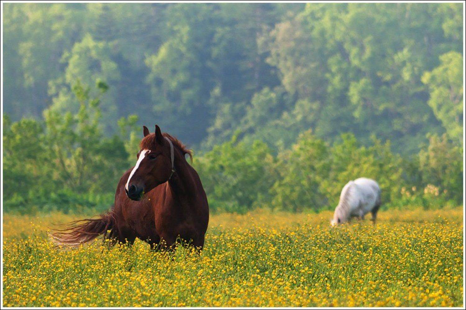 , Ольга Куликова