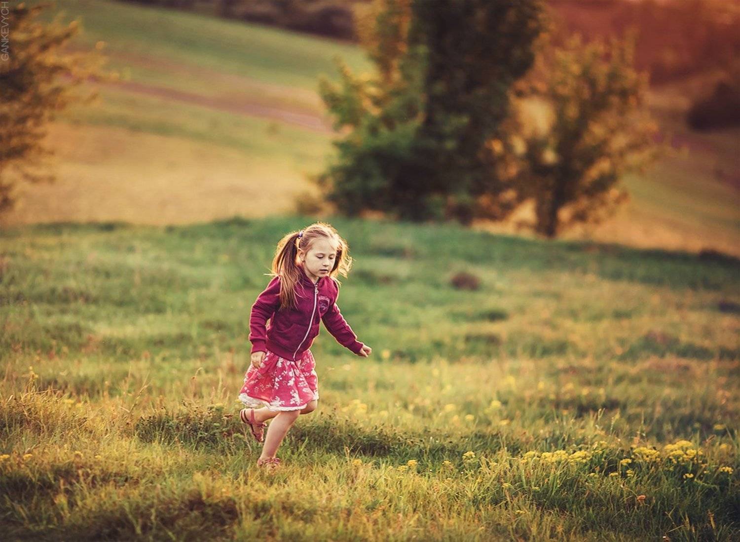 , Тарас Ганкевич
