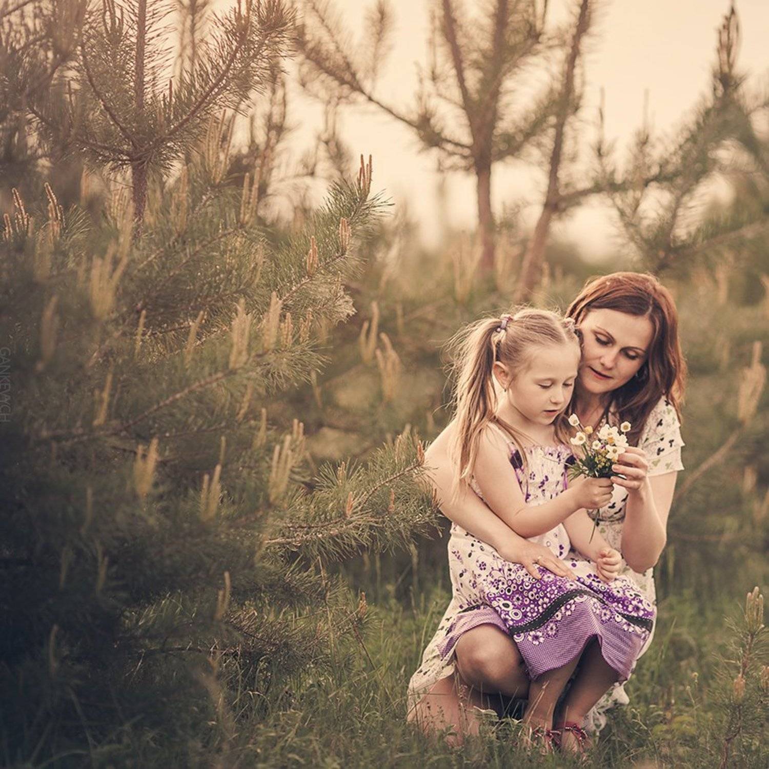 , Тарас Ганкевич