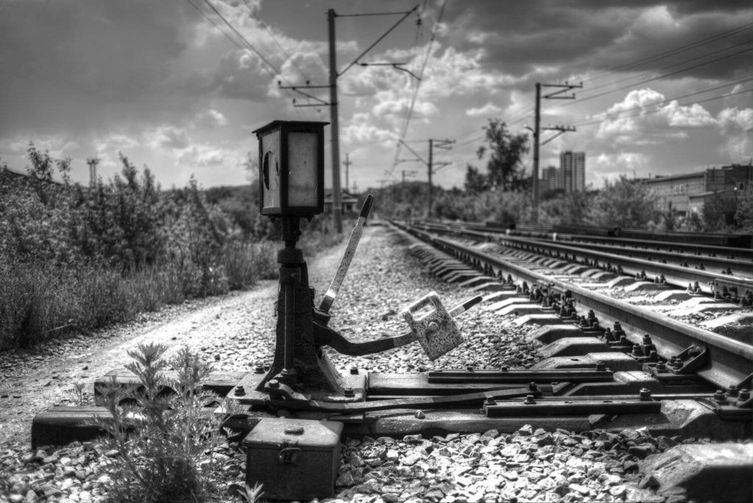 , Валерий Коновалов