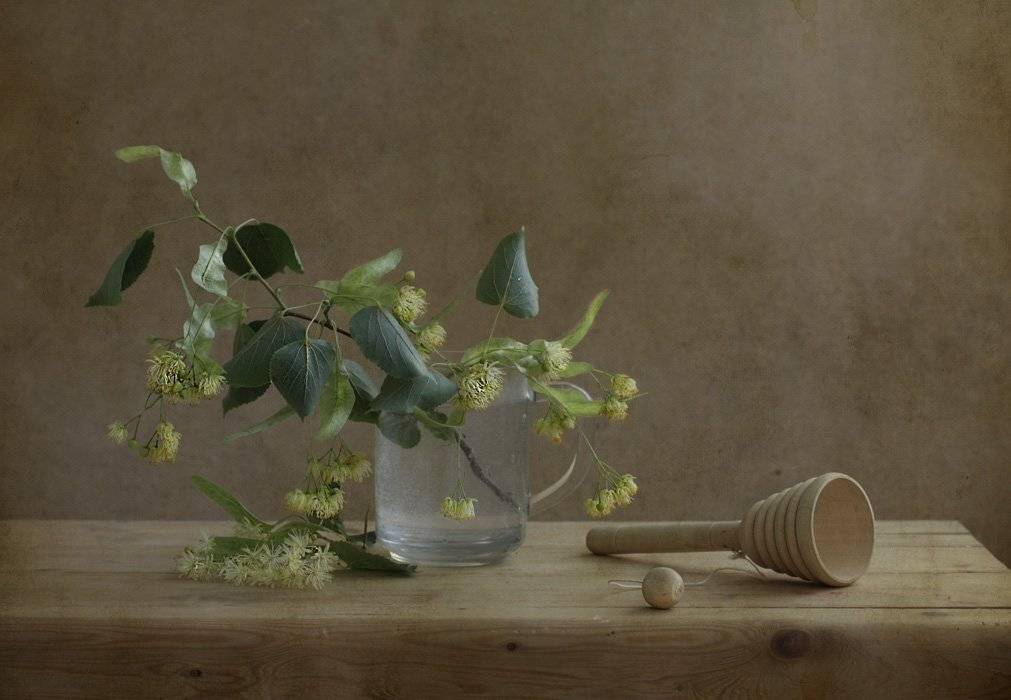 , Петрова Татьяна