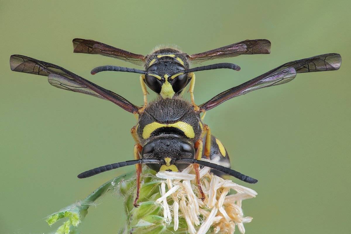 , Вадим Ходаковский