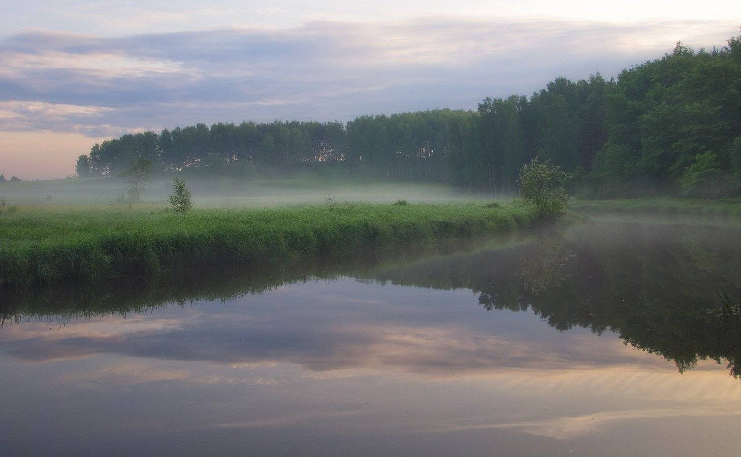 , Марина Брыдня