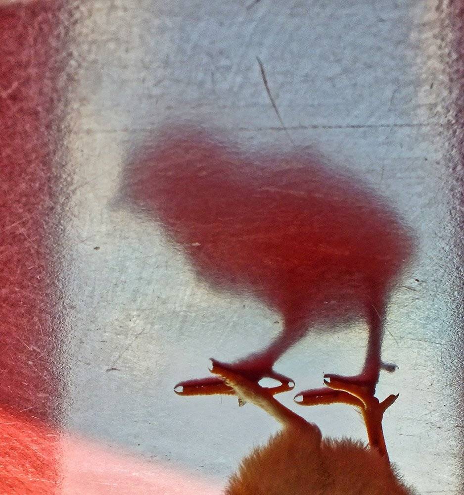 , Радковская Наталья