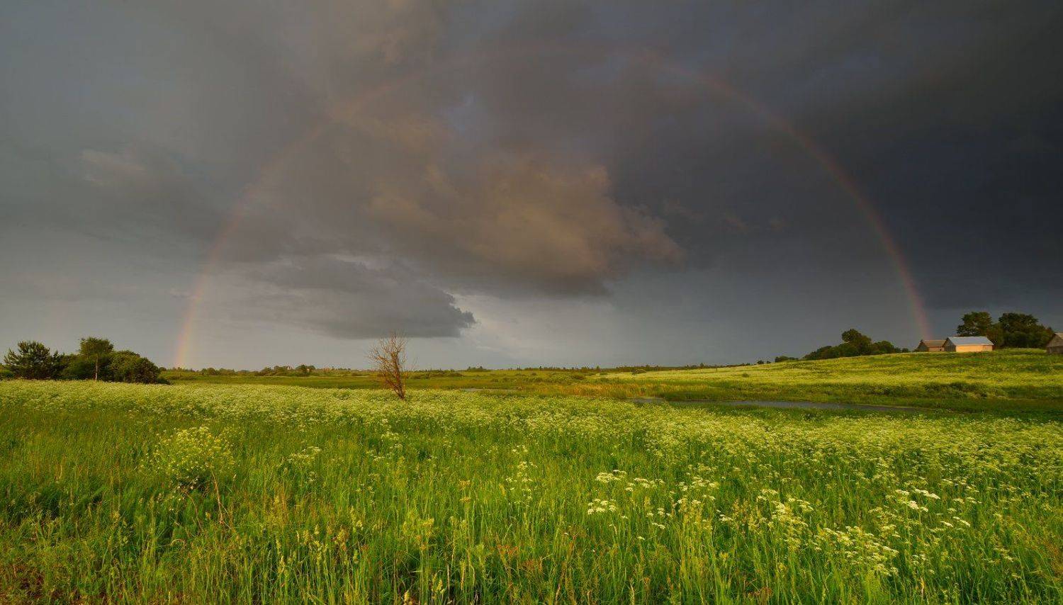 , Максим Евдокимов