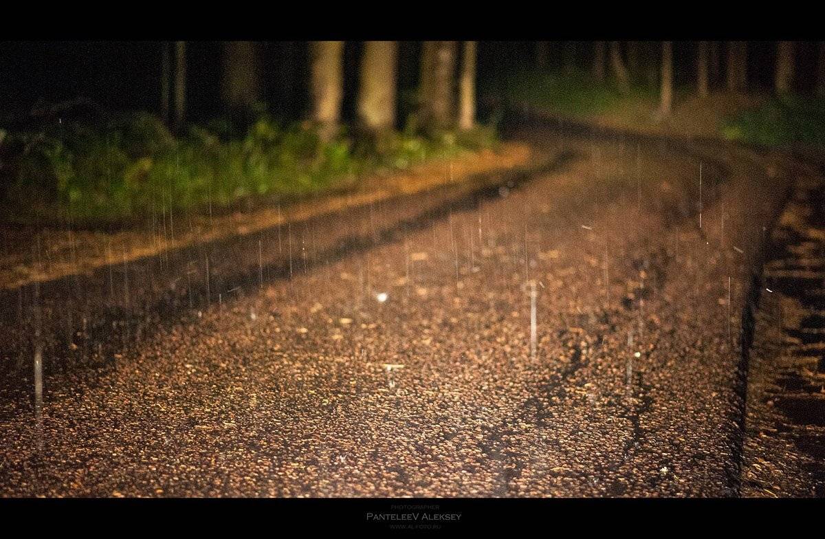 , Пантелеев Алексей