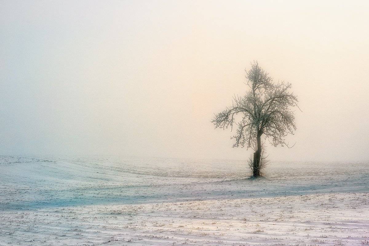 , wojtek6308